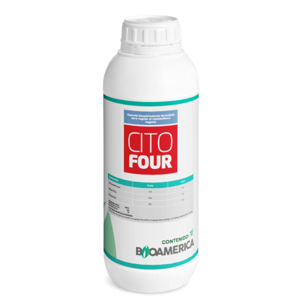 CITOFOUR
