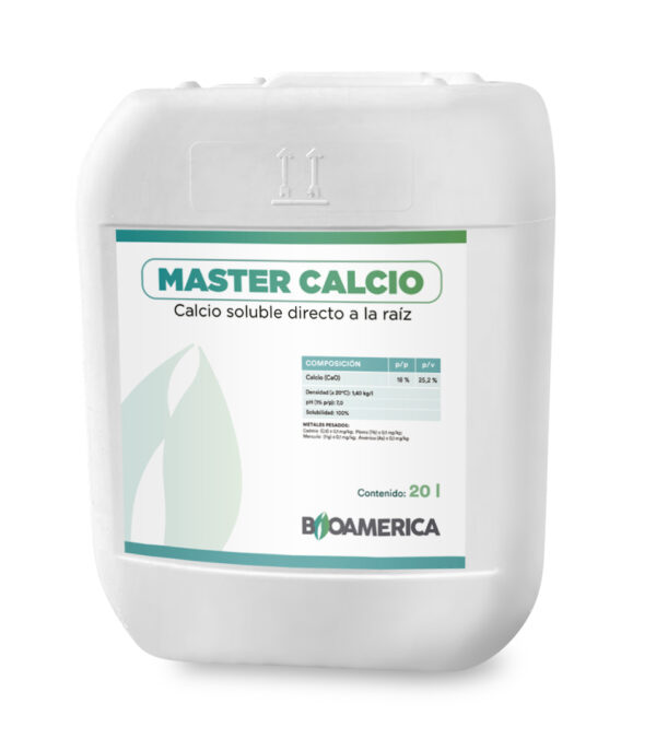 MASTER CALCIO