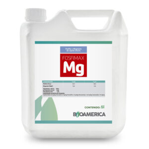 FOSFIMAX MAGNESIO